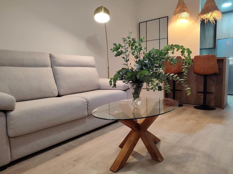Apartment Old Town Ground Floor New Apartment, Beach, Parking Malaga